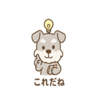 毎日使える ひらめきシュナ 元気敬語（個別スタンプ：12）