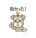 毎日使える ひらめきシュナ 元気敬語（個別スタンプ：20）