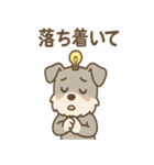 毎日使える ひらめきシュナ 元気敬語（個別スタンプ：24）