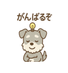 毎日使える ひらめきシュナ 元気敬語（個別スタンプ：25）