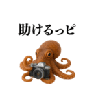 【爆笑★ネタ】リアルな「タコ」だっピ（個別スタンプ：1）