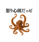 【爆笑★ネタ】リアルな「タコ」だっピ（個別スタンプ：4）
