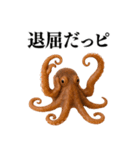 【爆笑★ネタ】リアルな「タコ」だっピ（個別スタンプ：5）