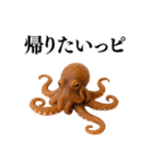 【爆笑★ネタ】リアルな「タコ」だっピ（個別スタンプ：7）