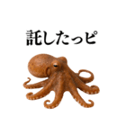 【爆笑★ネタ】リアルな「タコ」だっピ（個別スタンプ：9）