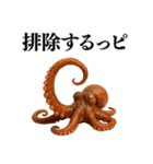 【爆笑★ネタ】リアルな「タコ」だっピ（個別スタンプ：13）