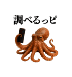 【爆笑★ネタ】リアルな「タコ」だっピ（個別スタンプ：16）