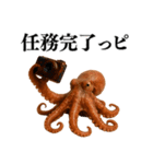 【爆笑★ネタ】リアルな「タコ」だっピ（個別スタンプ：17）