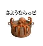 【爆笑★ネタ】リアルな「タコ」だっピ（個別スタンプ：19）