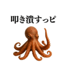【爆笑★ネタ】リアルな「タコ」だっピ（個別スタンプ：21）