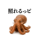 【爆笑★ネタ】リアルな「タコ」だっピ（個別スタンプ：27）