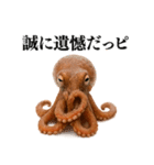【爆笑★ネタ】リアルな「タコ」だっピ（個別スタンプ：28）
