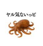 【爆笑★ネタ】リアルな「タコ」だっピ（個別スタンプ：30）