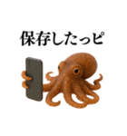 【爆笑★ネタ】リアルな「タコ」だっピ（個別スタンプ：32）