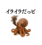【爆笑★ネタ】リアルな「タコ」だっピ（個別スタンプ：33）