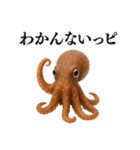 【爆笑★ネタ】リアルな「タコ」だっピ（個別スタンプ：38）
