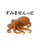 【爆笑★ネタ】リアルな「タコ」だっピ（個別スタンプ：40）