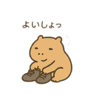 ゆるかわ動物スキー 日本語（個別スタンプ：23）