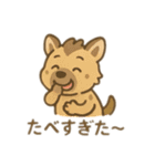 可愛い動物の夏お祭り＆花火 日本語（個別スタンプ：23）