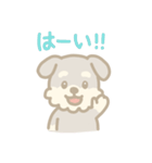 ミニチュアシュナウザーの毎日スタンプ（個別スタンプ：3）