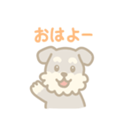 ミニチュアシュナウザーの毎日スタンプ（個別スタンプ：5）