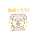 ミニチュアシュナウザーの毎日スタンプ（個別スタンプ：19）