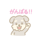 ミニチュアシュナウザーの毎日スタンプ（個別スタンプ：21）