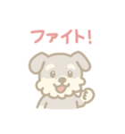 ミニチュアシュナウザーの毎日スタンプ（個別スタンプ：23）