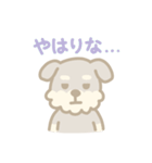 ミニチュアシュナウザーの毎日スタンプ（個別スタンプ：31）