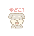 ミニチュアシュナウザーの毎日スタンプ（個別スタンプ：35）