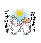 かわいいコレクション3(毎日使う言葉)（個別スタンプ：1）