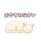 シロクロの使える丁寧語（個別スタンプ：5）