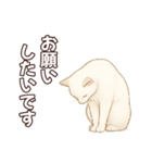シロクロの使える丁寧語（個別スタンプ：6）