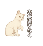 シロクロの使える丁寧語（個別スタンプ：8）