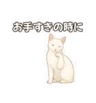 シロクロの使える丁寧語（個別スタンプ：10）