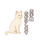 シロクロの使える丁寧語（個別スタンプ：11）