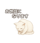 シロクロの使える丁寧語（個別スタンプ：12）