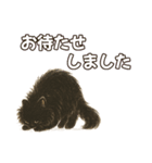 シロクロの使える丁寧語（個別スタンプ：13）