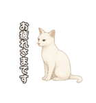 シロクロの使える丁寧語（個別スタンプ：15）