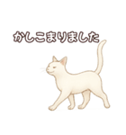 シロクロの使える丁寧語（個別スタンプ：16）