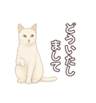 シロクロの使える丁寧語（個別スタンプ：23）