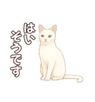 シロクロの使える丁寧語（個別スタンプ：26）