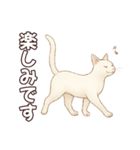 シロクロの使える丁寧語（個別スタンプ：30）