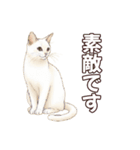 シロクロの使える丁寧語（個別スタンプ：38）