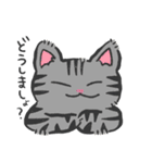ごろごろにゃにゃんこ（個別スタンプ：11）