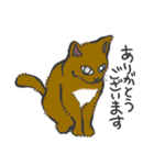 ごろごろにゃにゃんこ（個別スタンプ：20）