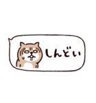 ◯ SHIBAINUさん◯省スペース（個別スタンプ：8）