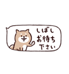 ◯ SHIBAINUさん◯省スペース（個別スタンプ：24）