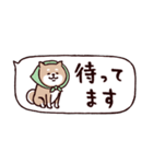 ◯ SHIBAINUさん◯省スペース（個別スタンプ：28）