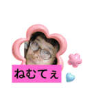 ちょっと千葉弁入るご挨拶（個別スタンプ：21）